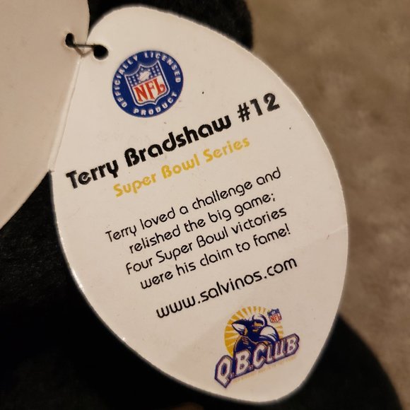 Vintage Salvino's Bammers Terry Bradshaw Teddy Bear Steelers Stuffed Animal 1999 - Picture 5 of 11